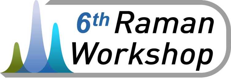 Raman Workshop